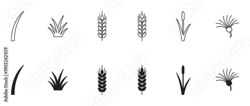 Set of twelve minimalist plant icons in black, showcasing grass blades, wheat stalks, cattails, and dandelions in both linear outline and solid filled silhouette styles