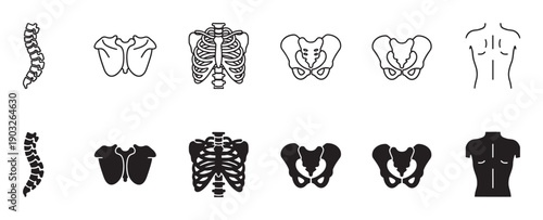 Set of black human anatomy icons showing the spine, scapula, rib cage, pelvis, and torso in both minimalist line art and solid glyph styles for medical or scientific use