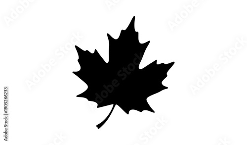 Hand drawn Canadian maple leaf silhouette vector art
