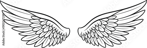 Angel wings line art illustration with detailed feathers symmetrical design isolated on white background for tattoo spiritual fantasy and decorative artwork