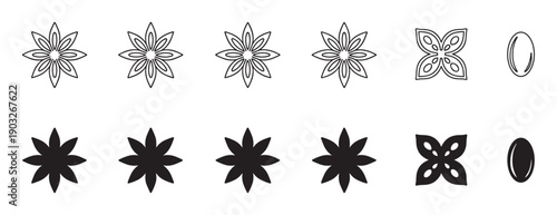Set of black star anise icons showing the whole spice, a single carpel, and a seed, presented in both a minimalist outline and a solid silhouette graphic style