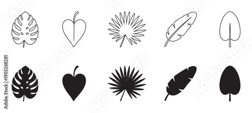 Set of black tropical leaf icons in outline and silhouette styles including monstera, palm, and banana leaves for a minimalist graphic design element