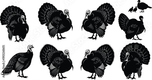 Large Black Turkey Silhouette Collection Featuring Various Poses and Detailed Feathers for Thanksgiving Harvest Festival Dinner Holiday Celebration Vector Illustration Isolated on White Background