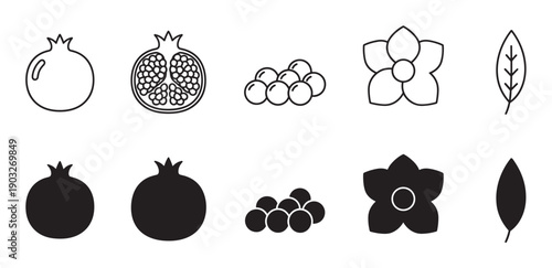 Set of black pomegranate icons showing the whole fruit, a half section, seeds, a flower, and a leaf in two distinct styles, line art outline and solid black silhouette