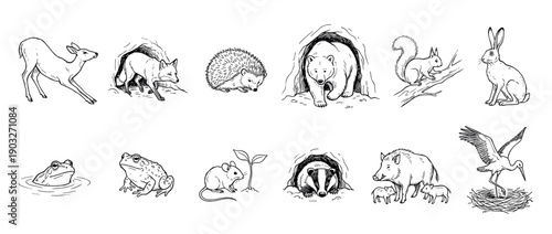 Collection of hand-drawn forest animals in a black and white sketch style, featuring a deer, fox, bear, squirrel, hare, frog, mouse, badger, boar, and stork in various poses