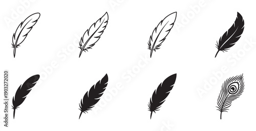 Collection of black feather illustrations in various styles, including simple outlines, solid silhouettes, and a detailed peacock feather, presented as a minimalist graphic icon set