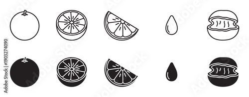 Collection of citrus fruit icons presented in both outline and solid glyph styles, illustrating a whole orange, half, wedge, seed, and a squeezed peel