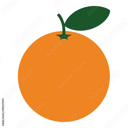orange fruit vector illustration