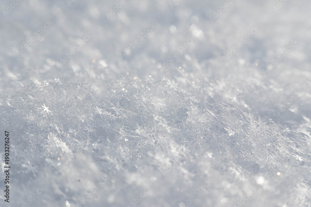 Obraz premium Close-up of Sparkling Snowflakes on a Winter Day
