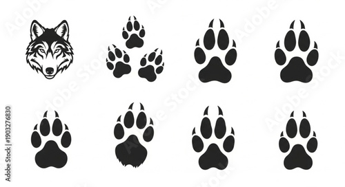 Wolf Head and Paw Prints Vector Icons.