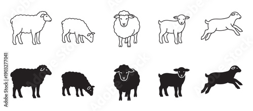 Collection of sheep and lamb illustrations in various poses, featuring both minimalist line art outlines and solid black silhouettes for a clean, graphic design element