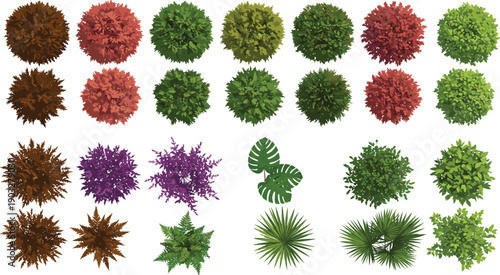 Variety of lush green, colorful plants and shrubs in different shapes and sizes, isolated on a clean background, perfect for landscaping or nature design, 3D render style, high quality