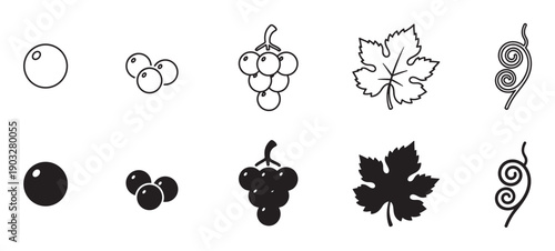 Black and white grape icon collection featuring a berry, bunch, leaf, and tendril, presented in two distinct styles: simple line art and solid black silhouette for graphic design