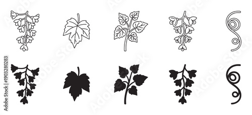 Minimalist black currant plant icon set with outline and solid silhouette styles featuring berry branches, leaves, and a decorative tendril for graphic design elements