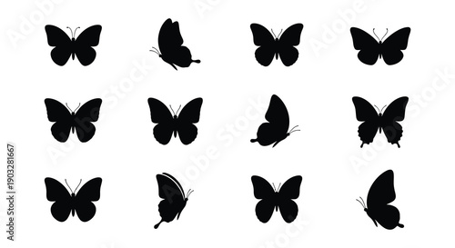 Collection of black silhouette butterflies arranged in a grid pattern