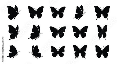 Collection of black silhouette butterflies arranged in a grid pattern