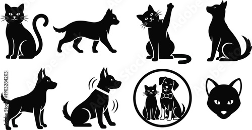 Dogs and cats poses, including sitting, standing, and playing. 
