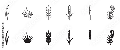 Black and white plant icon set with grass, wheat, reed, and fern illustrations shown in two graphic styles, a thin line outline and a solid black silhouette