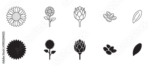 Set of black sunflower icons showing the flower head, plant, bud, and seeds in both line art and solid silhouette styles for graphic design and agricultural concepts