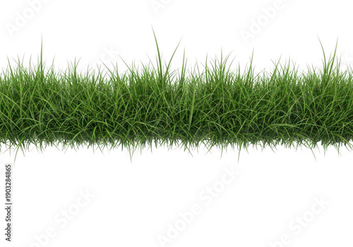 A strip of lush green grass isolated on transparent background for design purposes easily