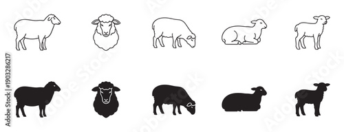 Collection of sheep and lamb icons in various poses, including standing, grazing, and lying down, presented in both minimalist line art and solid black silhouette styles for graphic design