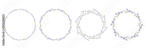 Set of round lavender flower wreaths. Floral delicate circular frames. Lavender colored borders, vector graphic