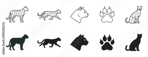 Set of big cat vector icons featuring leopard and panther illustrations in line art and solid silhouette styles, including walking, sitting, and head profile poses with a paw print