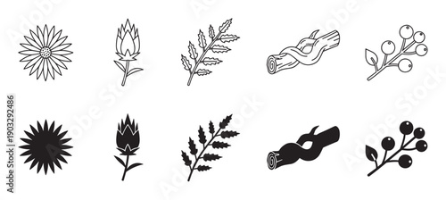 Set of black botanical icons featuring a flower, bud, leaf, wood, and berries, with each element presented in both a simple line art style and a solid silhouette version