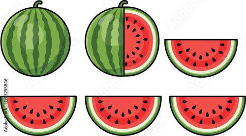 Watermelon fruit vector illustration set with whole half and sliced pieces fresh summer food design colorful juicy seeds