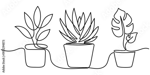 A black and white drawing with a simple, bold outline depicting potted plants. The drawing features three pots, each containing a different plant