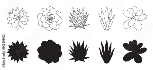 Set of black succulent plant illustrations presented as both clean line art drawings and solid silhouette shapes, creating a versatile collection of minimalist botanical icons