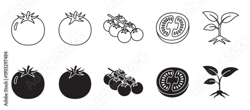 Set of black tomato icons showing whole fruit, cherry tomatoes on the vine, a cross-section slice, and a plant sprout in both outline and solid silhouette styles