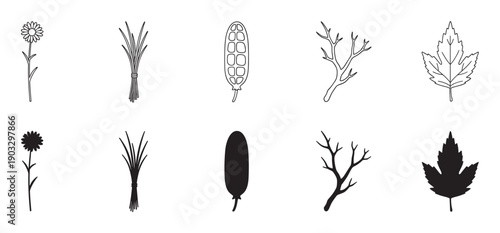 Set of ten black botanical illustrations featuring a flower, leaf, branch, seed pod, and grass shown in both line art and solid silhouette graphic styles
