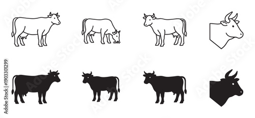 Set of black cow icons and illustrations showing different poses like standing and grazing in a minimalist line art and solid silhouette graphic style for farm concepts