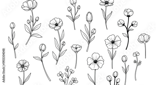 Collection of elegant black and white flowers on a clean white background for versatile design and decoration purposes always