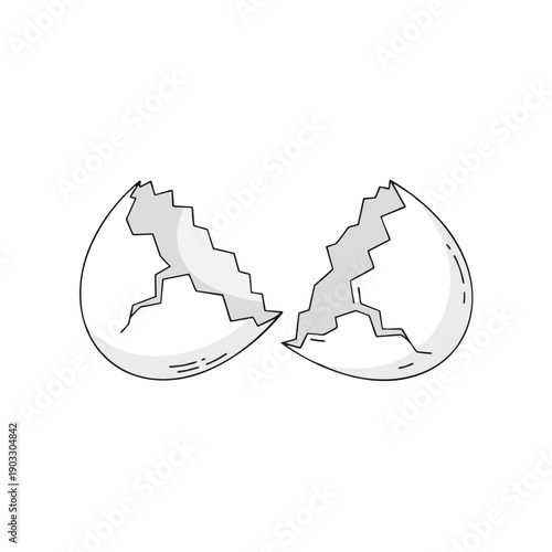 Broken Eggshell Fragment