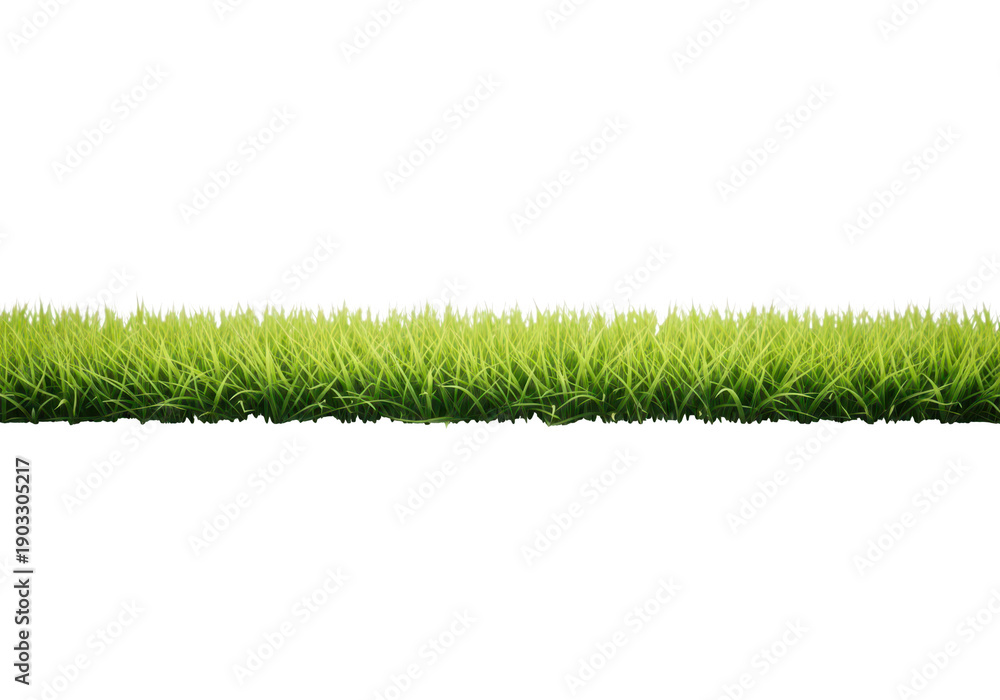 Naklejka premium A strip of vibrant green grass isolated on transparent background for design