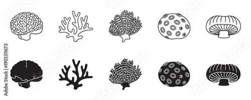 Set of black and white biological icons featuring a brain, coral, seaweed, sea urchin, and mushroom in both minimalist outline and solid silhouette graphic styles for design