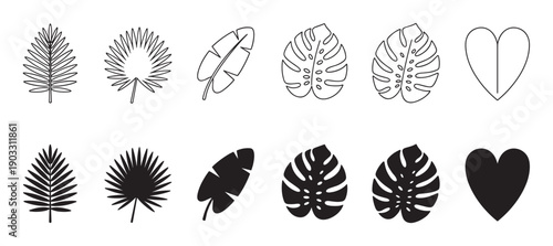 Set of black tropical leaf icons including monstera, palm, and banana leaves shown in both outline and solid silhouette styles with a simple heart shape graphic element