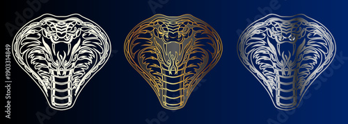 Snake Design Graphic Art