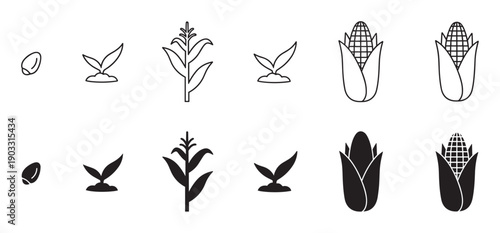 Collection of black corn plant icons illustrating the complete growth cycle from a single kernel to a mature cob, featuring both simple line art and solid glyph vector designs