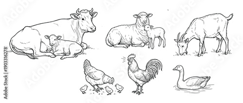 Set of hand-drawn farm animal illustrations featuring a cow with a calf, a sheep with a lamb, a goat, a rooster, a hen with chicks, and a goose in a classic sketch style