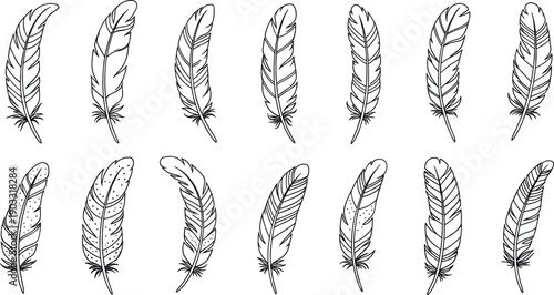  Hand Drawn Feather Collection with Detailed Line Art Sketches Natural Bird Plumage Set for Boho Vintage and Creative Design