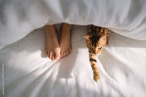 Playful Cat Crawling Out From Under White Duvet Near Bare Feet on Bed