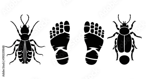 Two black silhouette insects and two human footprints on white background.