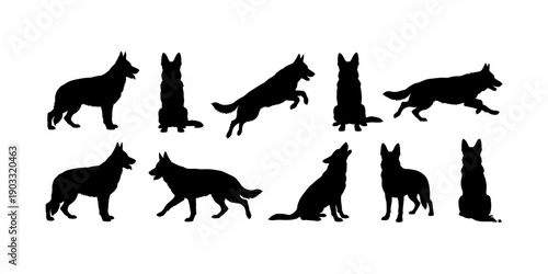 German Shepherd dog silhouette vector set. Alsatian head logo icon symbol collection. Black minimal style. Isolated on white background.