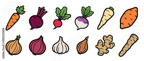 Colorful collection of various root vegetable doodles with a bold black outline, including carrot, beet, radish, turnip, onion, garlic, ginger, parsnip, and sweet potato