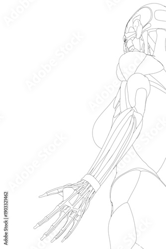 A female anatomy sketch features defined muscular contours and a metallic body with a robotic arm. This free printable coloring page has a sleek, modern design