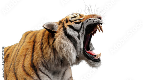 Fotografie A Big Tiger with Open Mouth Showing Sharp Teeth