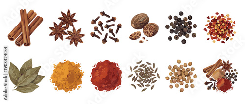 Large collection of various spices and herbs including cinnamon, star anise, cloves, nutmeg, and peppercorns, beautifully illustrated in a detailed, colorful vector art style